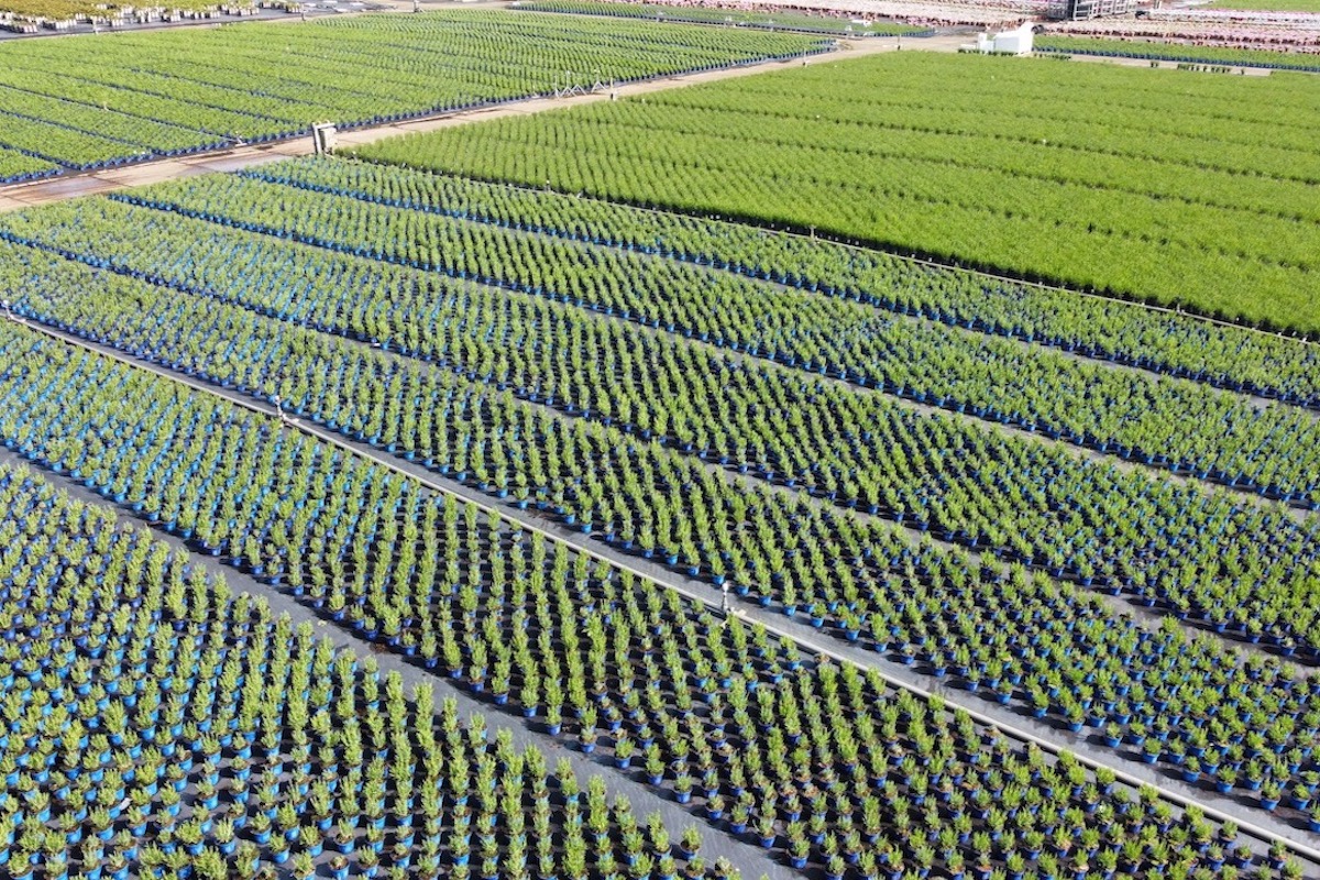 Kwekerij Stuivenberg